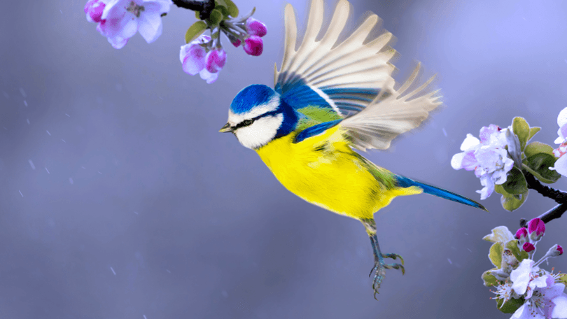 Wind Down with Uniper: Stunning Springtime