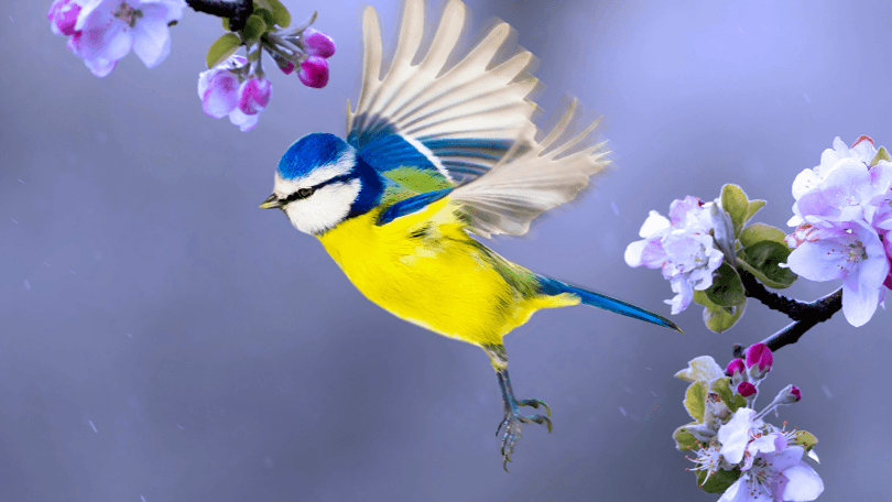 Wind Down with Uniper: Stunning Springtime